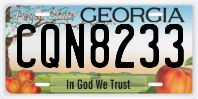 GA license plate CQN8233