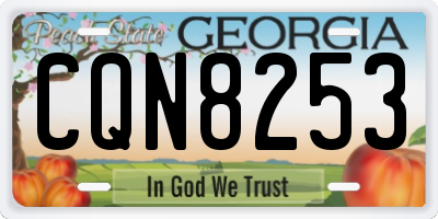 GA license plate CQN8253