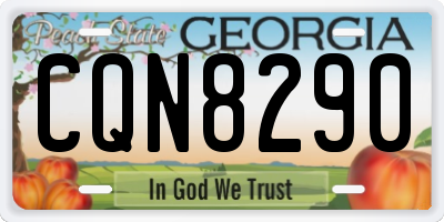 GA license plate CQN8290