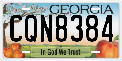 GA license plate CQN8384