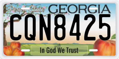 GA license plate CQN8425