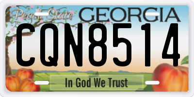 GA license plate CQN8514