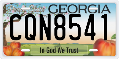 GA license plate CQN8541