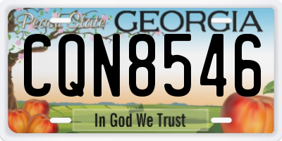 GA license plate CQN8546