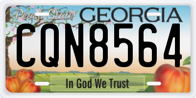 GA license plate CQN8564