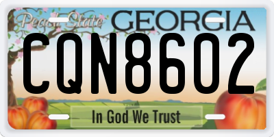 GA license plate CQN8602