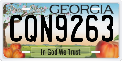 GA license plate CQN9263