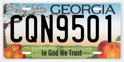 GA license plate CQN9501