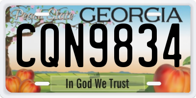 GA license plate CQN9834