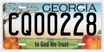 GA license plate CQO0228