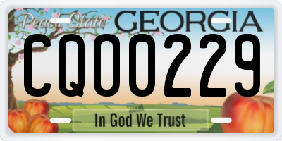 GA license plate CQO0229