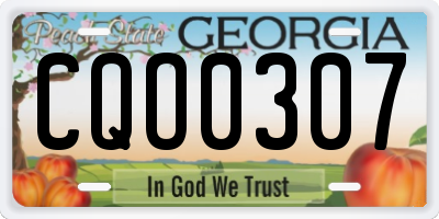 GA license plate CQO0307