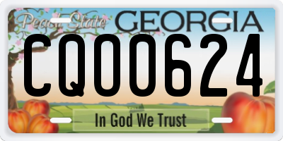 GA license plate CQO0624