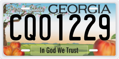 GA license plate CQO1229
