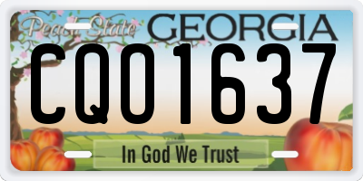 GA license plate CQO1637