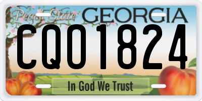 GA license plate CQO1824