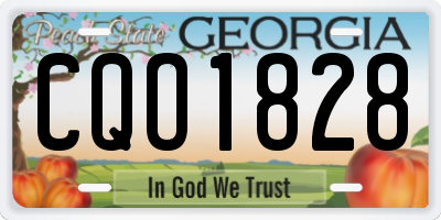 GA license plate CQO1828