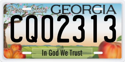 GA license plate CQO2313