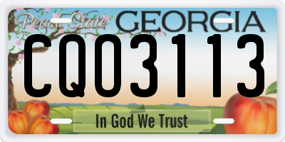 GA license plate CQO3113