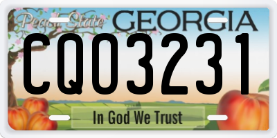 GA license plate CQO3231