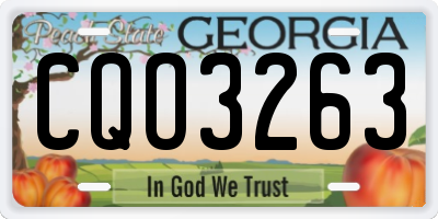 GA license plate CQO3263