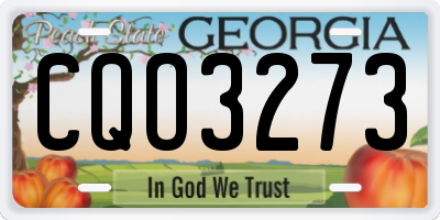 GA license plate CQO3273