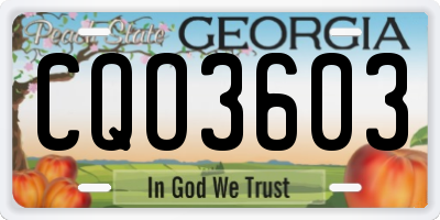 GA license plate CQO3603