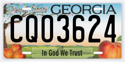 GA license plate CQO3624