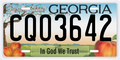 GA license plate CQO3642