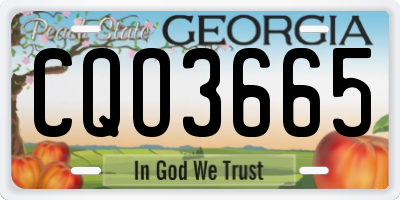 GA license plate CQO3665
