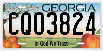 GA license plate CQO3824
