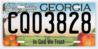 GA license plate CQO3828