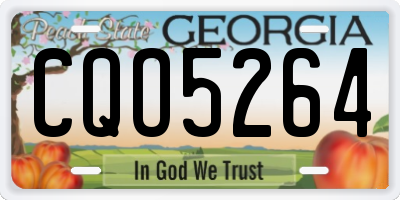 GA license plate CQO5264
