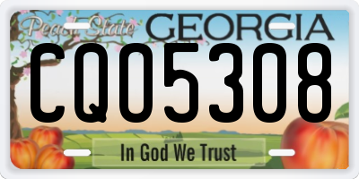 GA license plate CQO5308