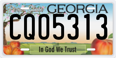 GA license plate CQO5313