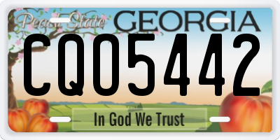 GA license plate CQO5442