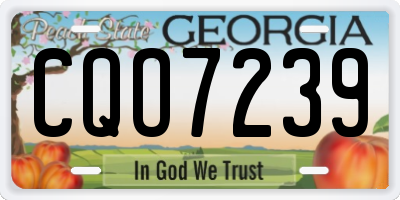 GA license plate CQO7239