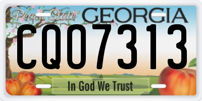 GA license plate CQO7313
