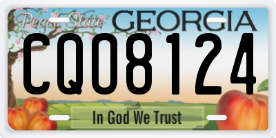 GA license plate CQO8124