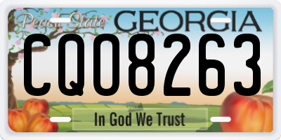 GA license plate CQO8263