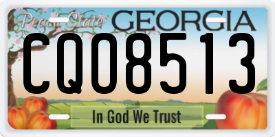 GA license plate CQO8513