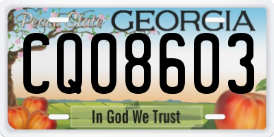 GA license plate CQO8603