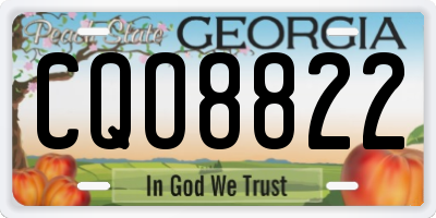 GA license plate CQO8822