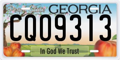 GA license plate CQO9313
