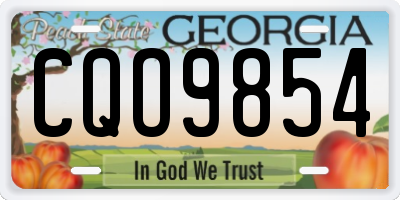 GA license plate CQO9854