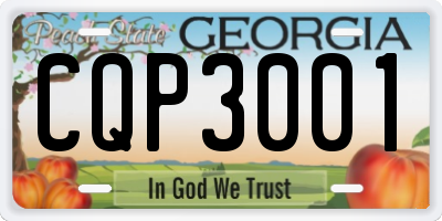 GA license plate CQP3001