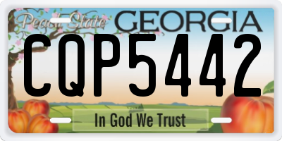 GA license plate CQP5442