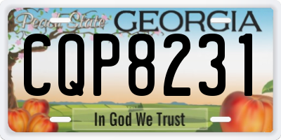 GA license plate CQP8231