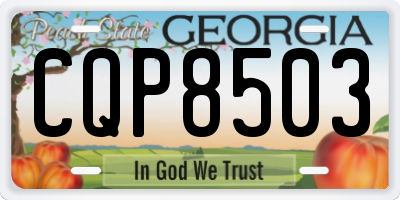 GA license plate CQP8503