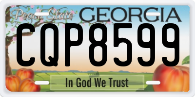 GA license plate CQP8599